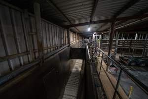 Raceway, facing holding pens - Captured at Ralphs Meat Co, Seymour VIC Australia.