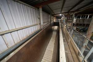 Raceway, facing holding pens - Captured at Ralphs Meat Co, Seymour VIC Australia.