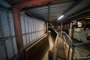 Raceway, facing holding pens - Captured at Ralphs Meat Co, Seymour VIC Australia.