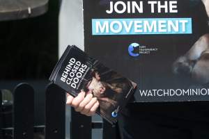 Animal rights activists at Dominion Outreach Melbourne - Animal rights activists attending a street outreach event in Southbank, Melbourne, Australia to bring awareness to the reality of modern animal farming and slaughter practices using footage from Dominion. - Captured at VIC.