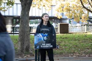 Animal rights activists at Dominion Outreach Melbourne - Animal rights activists attending a street outreach event in Southbank, Melbourne, Australia to bring awareness to the reality of dairy farming and slaughter practices using footage from Farm Transparency Project investigations. - Captured at VIC.