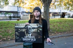 Animal rights activists at Dominion Outreach Melbourne - Animal rights activists attending a street outreach event in Southbank, Melbourne, Australia to bring awareness to the reality of dairy farming and slaughter practices using footage from Farm Transparency Project investigations. - Captured at VIC.