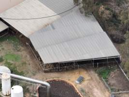 Drone flyover of slaughterhouse - Sheep in holding pens - Captured at MD Foods Australia, Echuca VIC Australia.