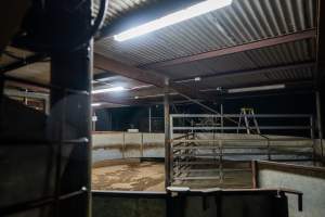 'Stock marshalling pen' between holding pens and race - Captured at MD Foods Australia, Echuca VIC Australia.