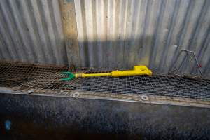 Electric prodder beside race - Captured at MD Foods Australia, Echuca VIC Australia.