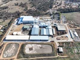 Captured at Australian Meat Group, Cootamundra NSW Australia.