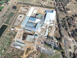 Captured at Australian Meat Group, Cootamundra NSW Australia.