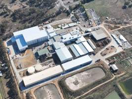 Captured at Australian Meat Group, Cootamundra NSW Australia.