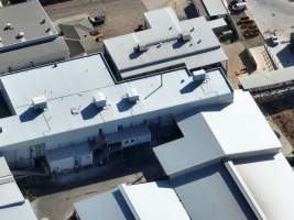 Captured at Australian Meat Group, Cootamundra NSW Australia.