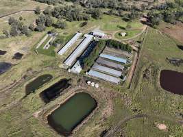 Burnett Pork Alliance piggery - Aerial view of a 'Burnett Pork Alliance' piggery. - Captured at Burnett Pork Alliance, Derri Derra QLD Australia.
