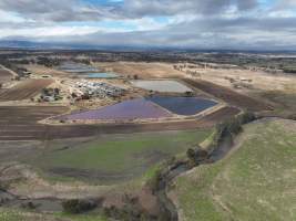 Miandetta Piggery - Aerial view of Miandetta Piggery. - Captured at Miandetta Piggery, Junabee QLD Australia.