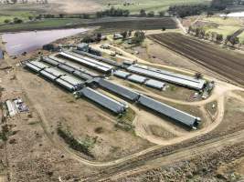 Miandetta Piggery - Aerial view of Miandetta Piggery. - Captured at Miandetta Piggery, Junabee QLD Australia.