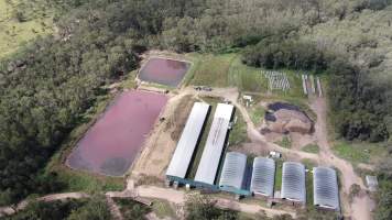 Langford's Piggery - Aerial view of Langford's Piggery. - Captured at Langford's Piggery, Brooklands QLD Australia.