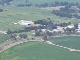 Drone flyover of piggery - Captured at Lansdowne Piggery, Kikiamah NSW Australia.