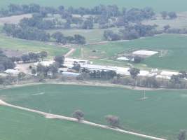 Drone flyover of piggery - Captured at Lansdowne Piggery, Kikiamah NSW Australia.