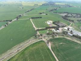Drone flyover of piggery - Captured at Lansdowne Piggery, Kikiamah NSW Australia.