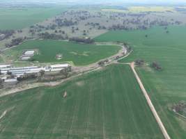 Drone flyover of piggery - Captured at Lansdowne Piggery, Kikiamah NSW Australia.