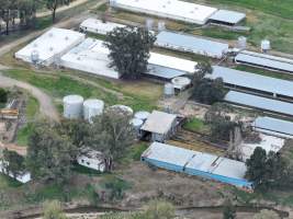Drone flyover of piggery - Captured at Lansdowne Piggery, Kikiamah NSW Australia.