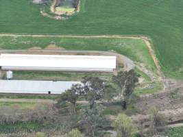 Drone flyover of piggery - Captured at Lansdowne Piggery, Kikiamah NSW Australia.