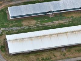 Drone flyover of piggery - Captured at Lansdowne Piggery, Kikiamah NSW Australia.