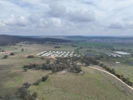 Drone flyover of piggery - Captured at Dead Horse Gully (DHG) Piggery, Young NSW Australia.