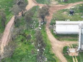 Drone flyover of piggery - Captured at Golden Grove Piggery, Young NSW Australia.