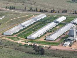 Drone flyover of piggery - Captured at Dead Horse Gully (DHG) Piggery, Young NSW Australia.