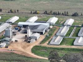 Drone flyover of piggery - Captured at Dead Horse Gully (DHG) Piggery, Young NSW Australia.