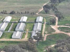 Drone flyover of piggery - Captured at Dead Horse Gully (DHG) Piggery, Young NSW Australia.