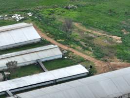 Drone flyover of piggery - Captured at Golden Grove Piggery, Young NSW Australia.