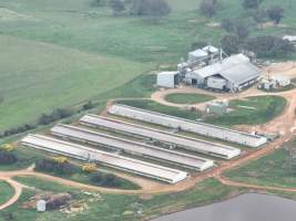 Drone flyover of piggery - Captured at Wonga Piggery, Barwang NSW Australia.