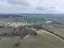 Drone flyover of piggery - Captured at Dead Horse Gully (DHG) Piggery, Young NSW Australia.