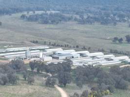 Drone flyover of piggery - Captured at Dead Horse Gully (DHG) Piggery, Young NSW Australia.