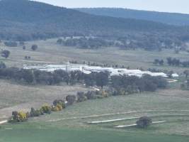 Drone flyover of piggery - Captured at Dead Horse Gully (DHG) Piggery, Young NSW Australia.
