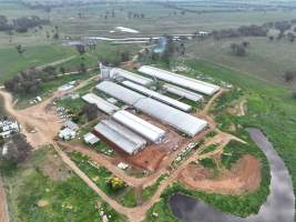 Drone flyover of piggery - Captured at Golden Grove Piggery, Young NSW Australia.