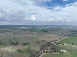 Drone flyover of piggery - Captured at Dead Horse Gully (DHG) Piggery, Young NSW Australia.