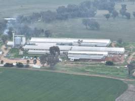 Drone flyover of piggery - Captured at Golden Grove Piggery, Young NSW Australia.