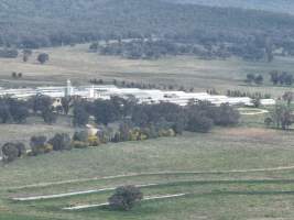 Drone flyover of piggery - Captured at Dead Horse Gully (DHG) Piggery, Young NSW Australia.