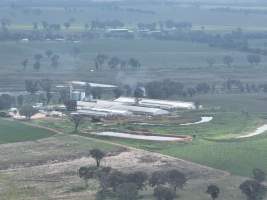 Drone flyover of piggery - Captured at Golden Grove Piggery, Young NSW Australia.