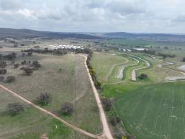 Drone flyover of piggery - Captured at Dead Horse Gully (DHG) Piggery, Young NSW Australia.
