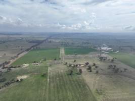 Drone flyover of piggery - Captured at Golden Grove Piggery, Young NSW Australia.