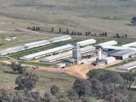 Drone flyover of piggery - Captured at Dead Horse Gully (DHG) Piggery, Young NSW Australia.