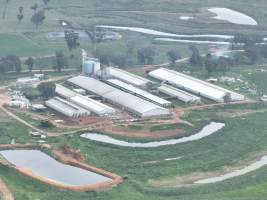 Drone flyover of piggery - Captured at Golden Grove Piggery, Young NSW Australia.