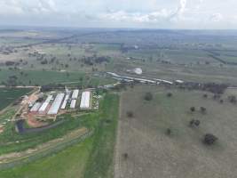 Drone flyover of piggery - Captured at Golden Grove Piggery, Young NSW Australia.