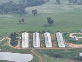 Drone flyover of piggery - Captured at Wonga Piggery, Barwang NSW Australia.