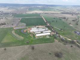Drone flyover of piggery - Captured at Golden Grove Piggery, Young NSW Australia.