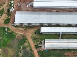 Drone flyover of piggery - Captured at Golden Grove Piggery, Young NSW Australia.