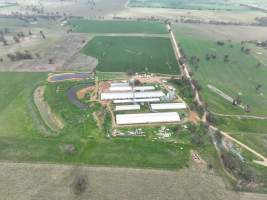 Drone flyover of piggery - Captured at Golden Grove Piggery, Young NSW Australia.