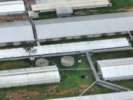 Drone flyover of piggery - Captured at Golden Grove Piggery, Young NSW Australia.