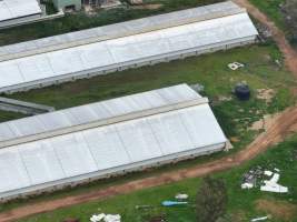 Drone flyover of piggery - Captured at Golden Grove Piggery, Young NSW Australia.